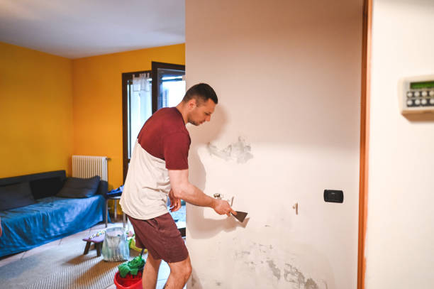 Best Localized Mold Remediation (e.g., coastal areas, humid climates) in Redondo Beach, CA